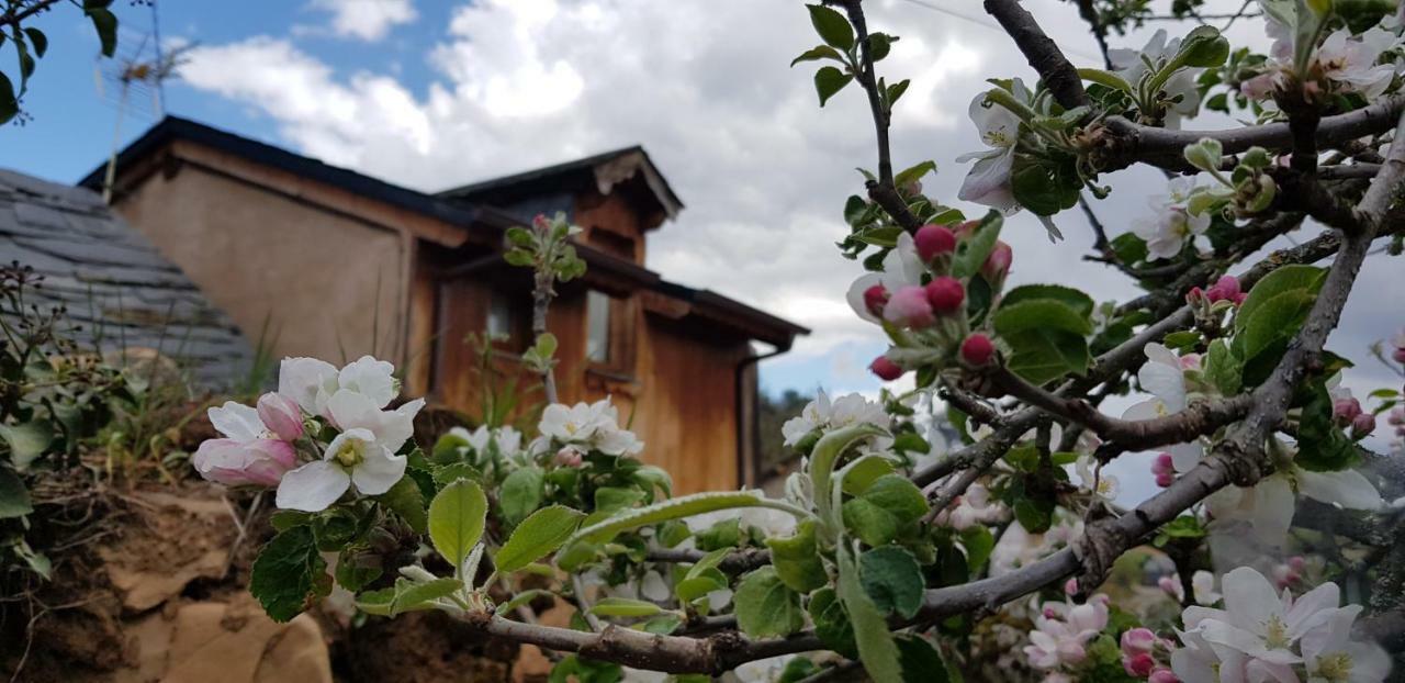 Casa Rural La Jara Blanca Guest House San Justo de Cabanillas Exterior foto